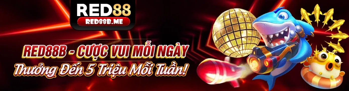 Hình ảnh ưu đãi đặc biệt cho các giải đấu lớn